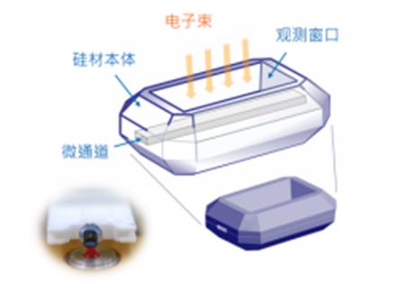 原位液体池TEM